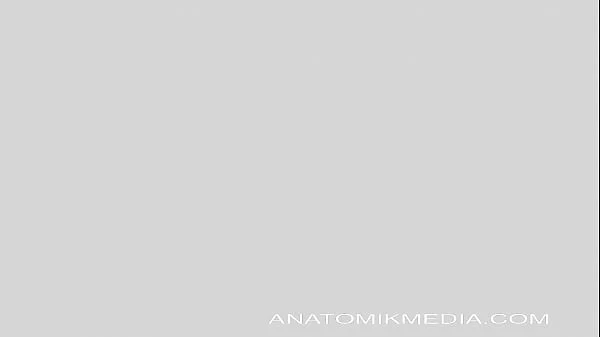 Anatomik Media: What Hole Do You Want It In?